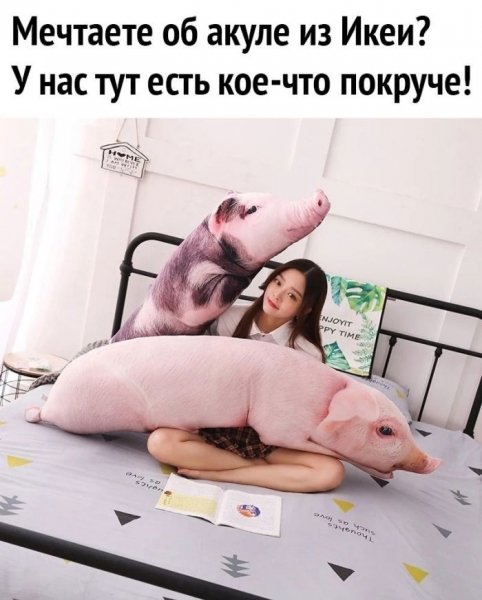 Chernyj-jumor-v-kartinkah-memah-dlja-nastroenija-3