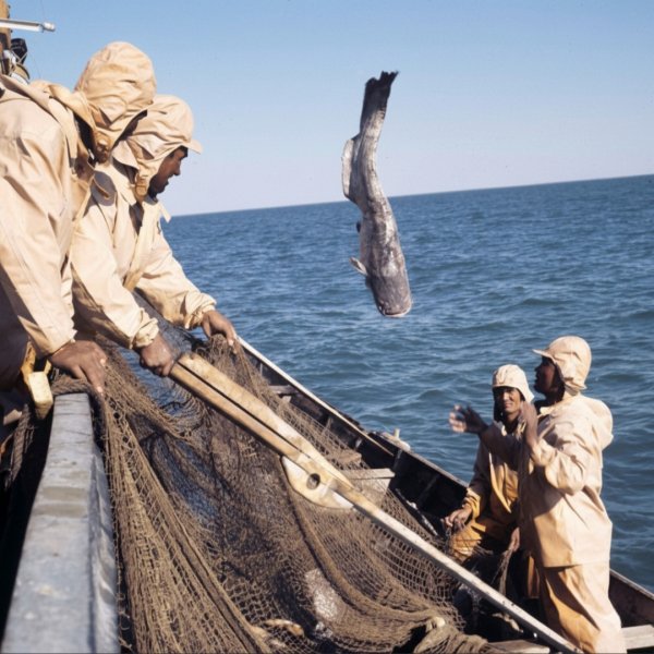 Рыбалка на Аральском море 1970 год