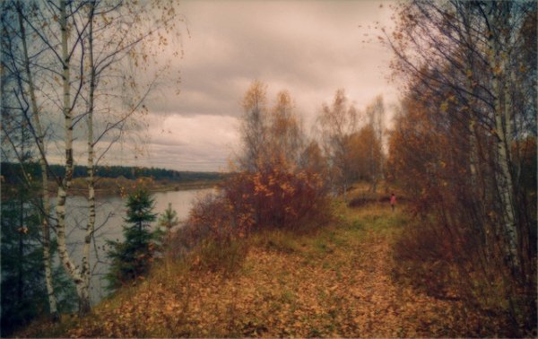 picture_375779273