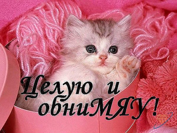 image (17)