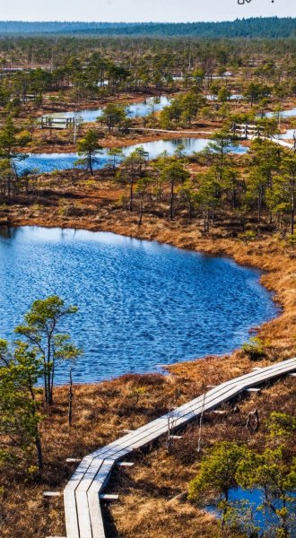 Screenshot 20251201-022042 One UI Home