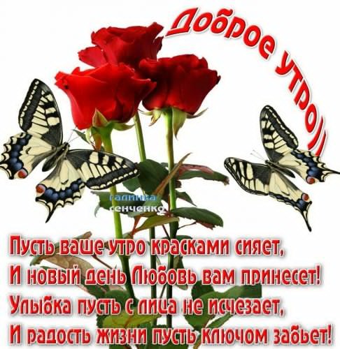 доброе утро