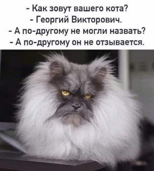 GfHVPGN4KLI