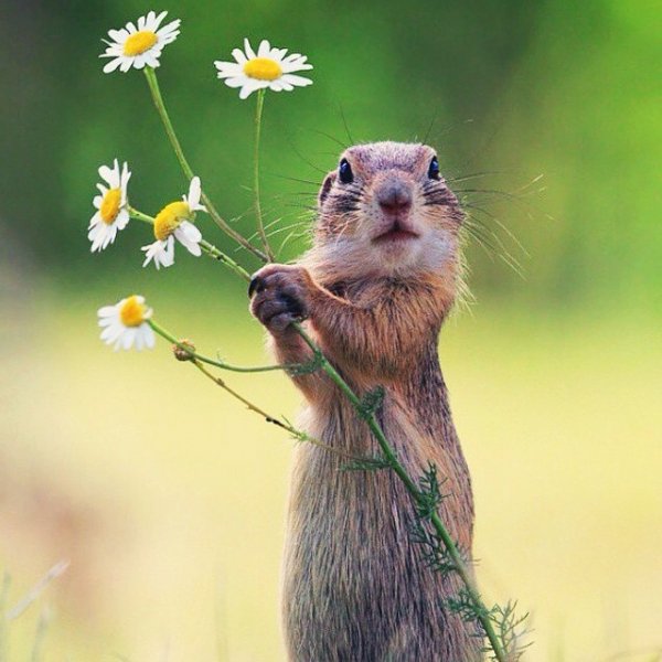 IMG 20150525 230632 1