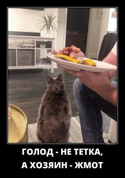 Голод не тетка