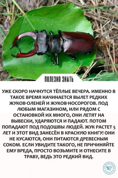 FB IMG 1621110990834