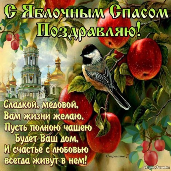-F4PUSjynvQ