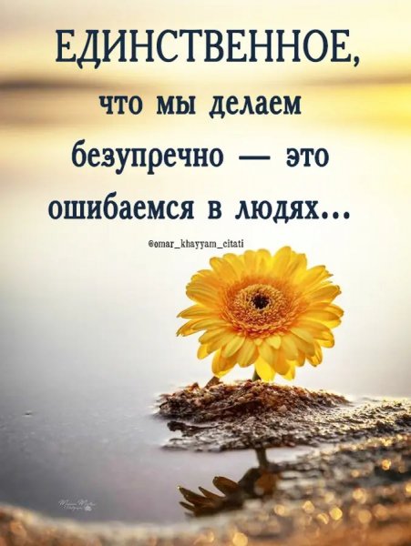 Img 1 1769503120171