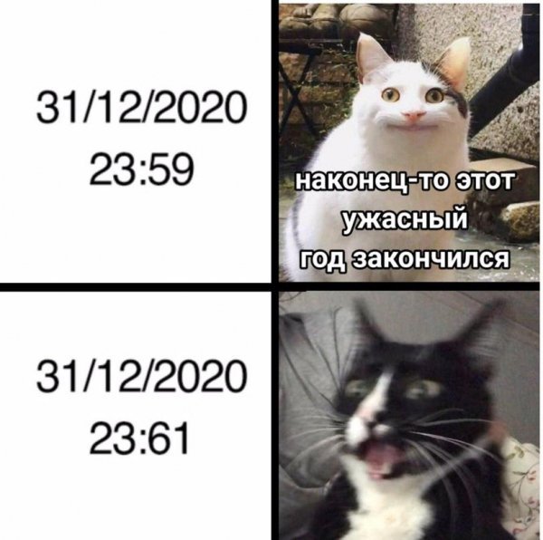 f.600.600.0