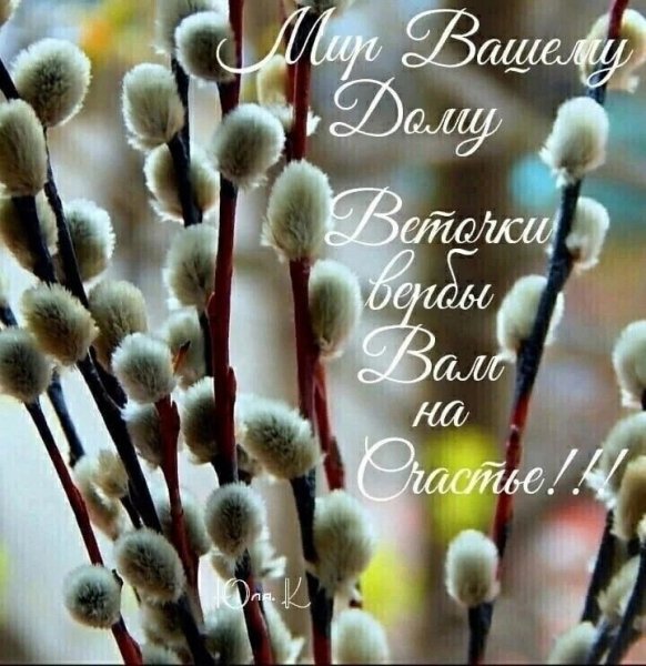 IMG 20260405 135207 243