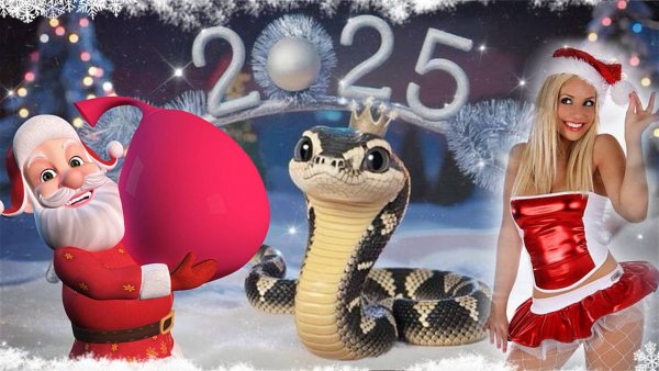 С новым 2025 годом!