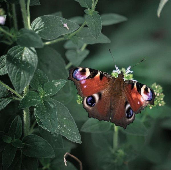 20-18-23-235818461 4470443596332933 3054704089409320638 n