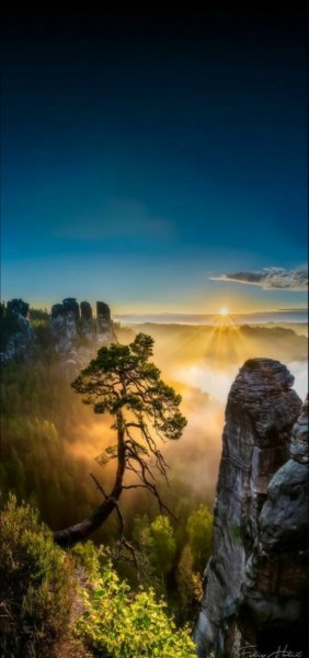 Арт Природа