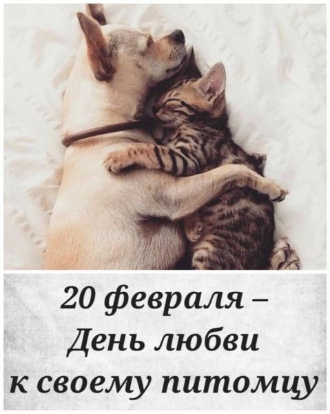 Изображение viber 2024-02-19 23-40-29-140