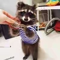 ac21deb884cd13215f99dc83adde2df9f