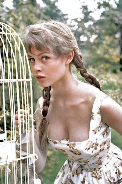 Fa91d864fa0fb196caa324dddf859e8e