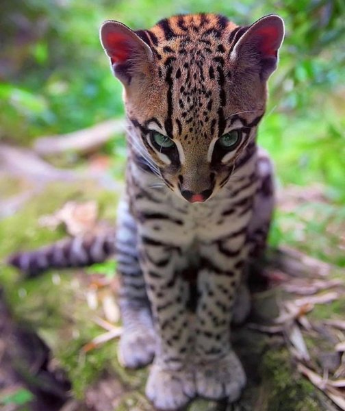 D-55B3-4115-9D36-FBB384193558