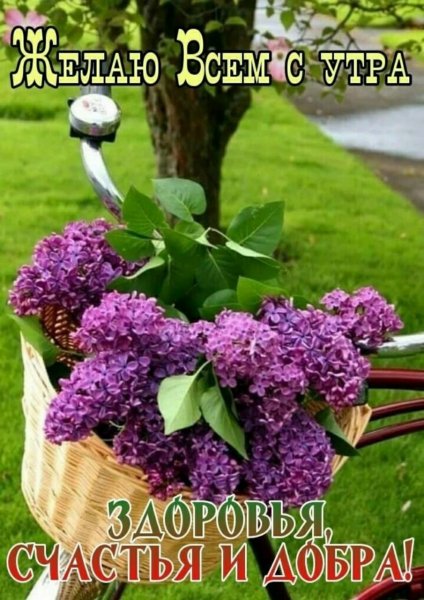 IMG-20210527-WA0000