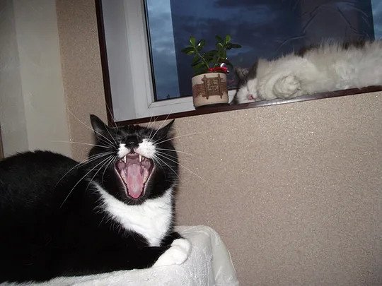 I - 2025-06-03T224020.346