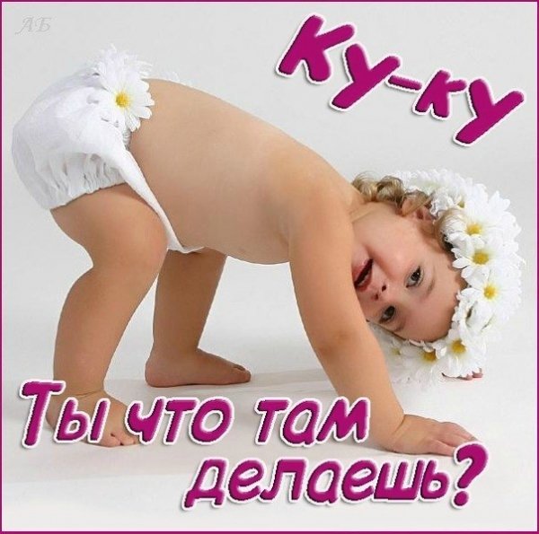 Ku-ku