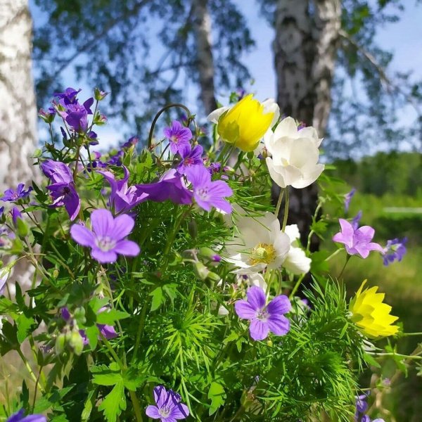 10c1312c5a43ae8fcd0feb679cdaddc7