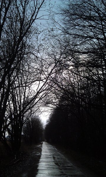 IMAG0128