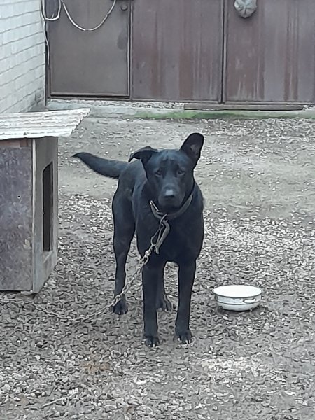 picture_393043147