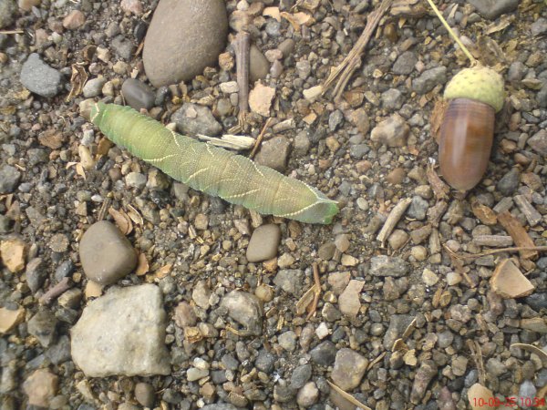 DSC00027
