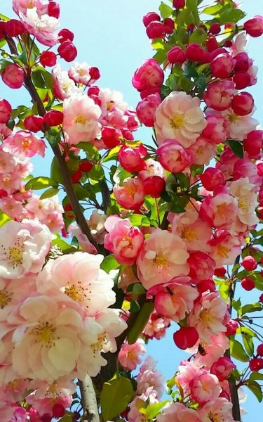 5a933853b8062bcf559859f8f7e6023f