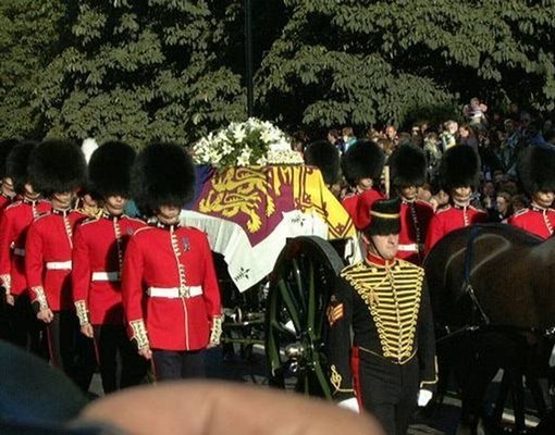 picture_355366350