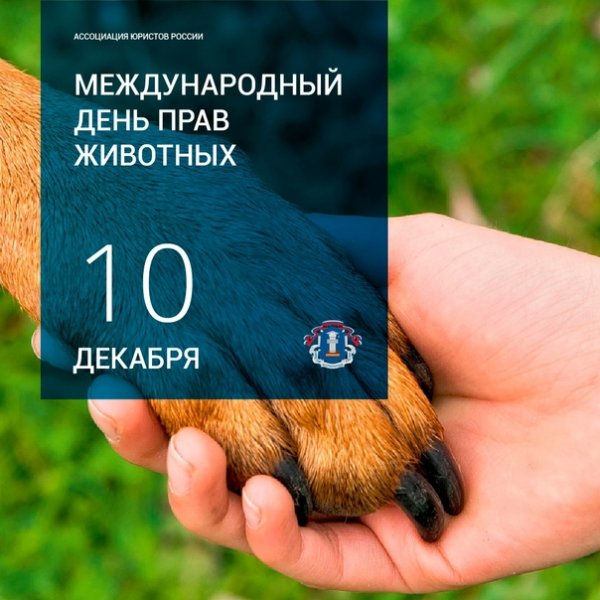Мы в ответе за тех кого приучили