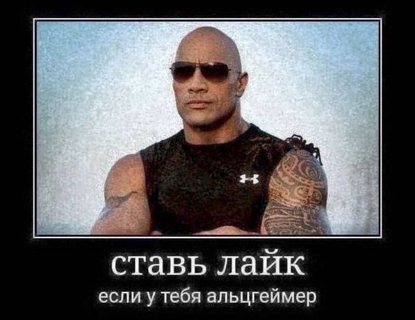 picture_414075500