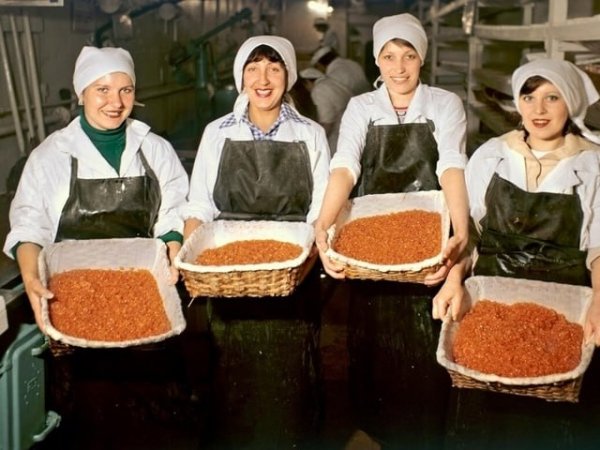 Рыбный комбинатПосёлок Чнырах, Хабаровский край