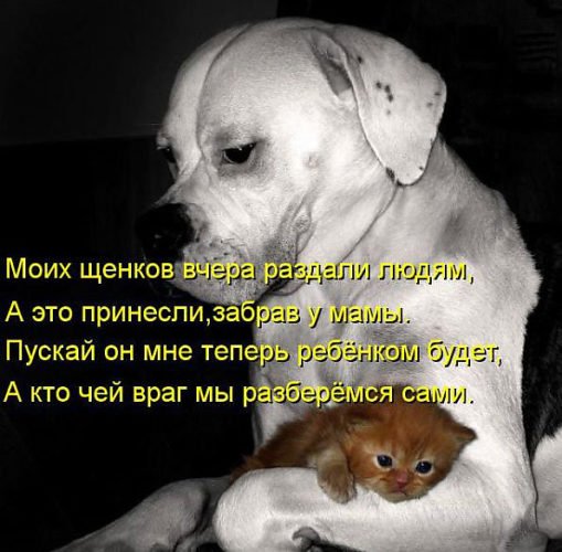 Разберемся сами