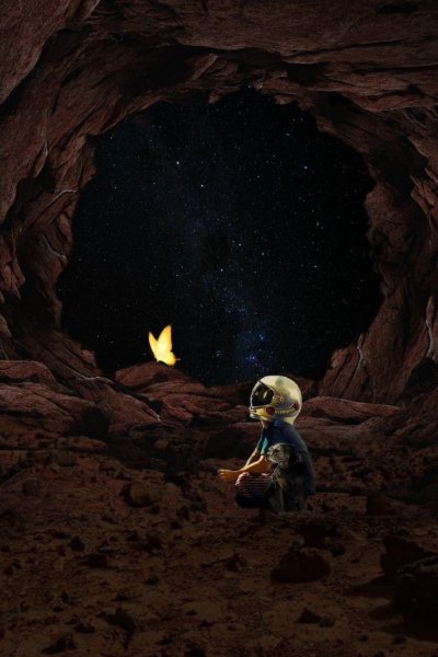 F4d07a317f80b4d69d71c78cdaa17e24