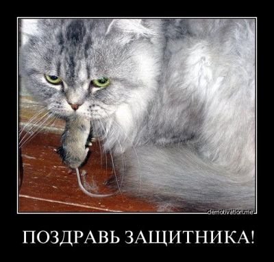 s3img 146634562 10207 1