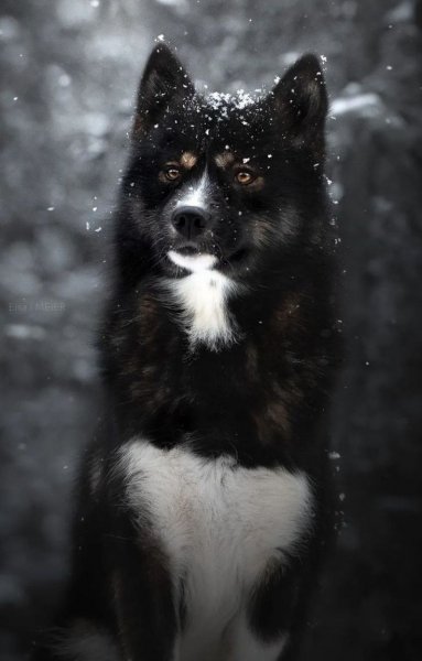 a0ea1d3c20c211cac6aa271d4