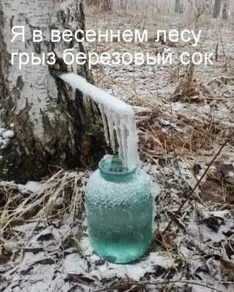 Phtbfcg7