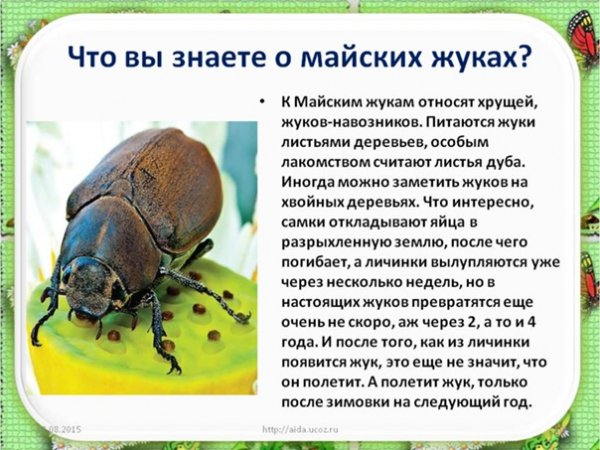 Это интересно