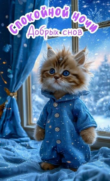 e45b7013bf51393d86cb69778f7