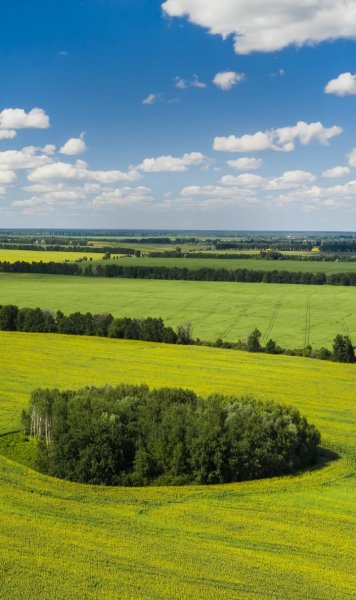 Screenshot 20260122-111406 One UI Home