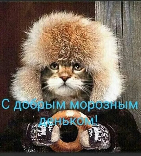 Всех вас!