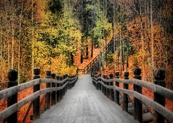 Архангельск Малые Карелы