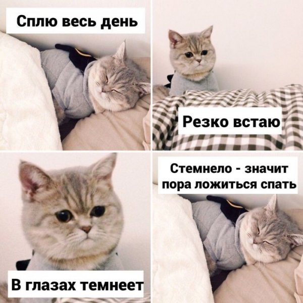 IMG 20211114 072318