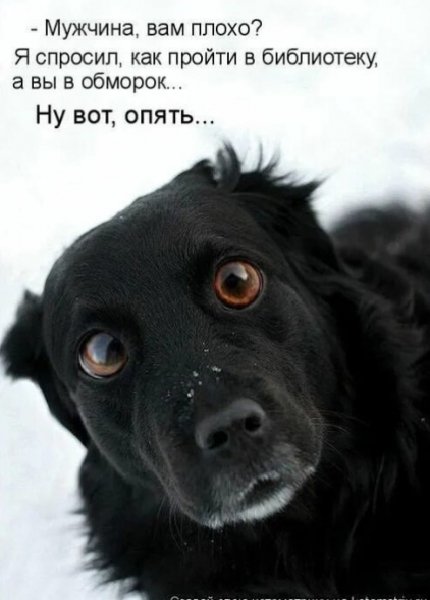 Ну вот, опять...