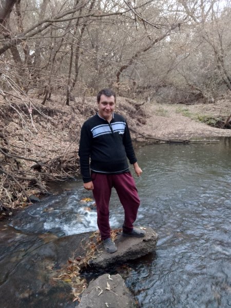 picture_392497523