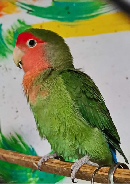 IMG 20190831 160221