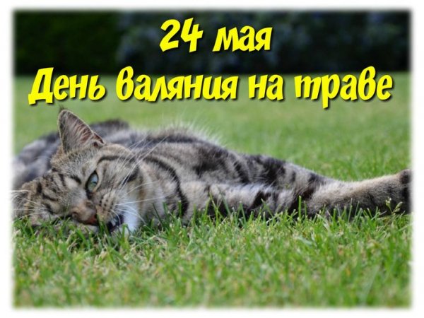 Изображение viber 2024-05-24 03-13-52-400