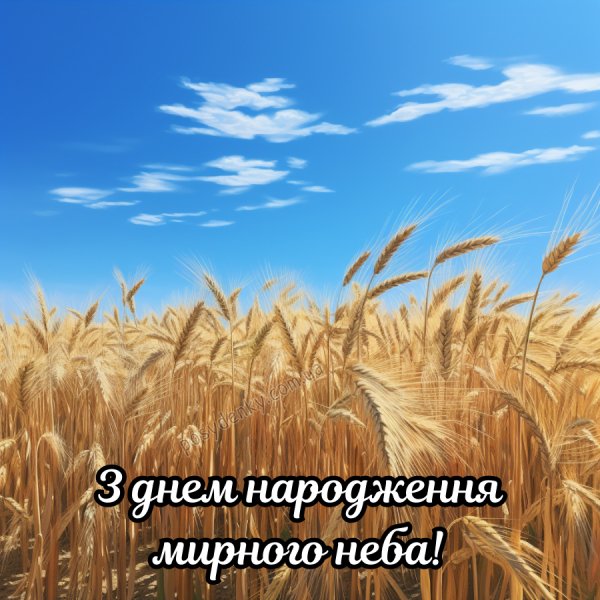 Z-dnem-narodzhennia-choloviku-myrnoho-neba-1