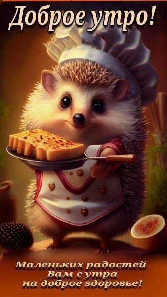 91b8253a75e17c4064ace85051743a91